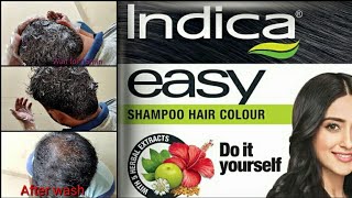 How to Apply Indica Easy Hair Colour Shampoo in 10mins Black Hair Colour [upl. by Yennep]