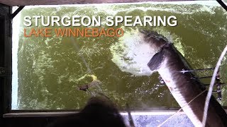 Sturgeon Spearing 2018  Lake Winnebago [upl. by Nireil682]