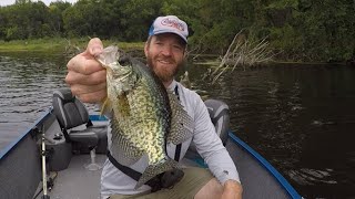 Mississippi River Brush Pile Crappie on an Overlooked Bait [upl. by Hashim]