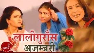 Laliguras Ajambari  Kunti Moktan  Mithila Sharma  Nepali Adhunik Song  Superhit Nepali Song [upl. by Selie411]