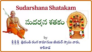 Sudarshana shatakam chanting by Sri sri sri Tridandi Ranga Ramanuja Jeeyar swami ji kakinada [upl. by Swithbart256]