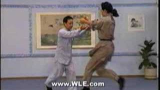 Sun Style Tai Chi Chuan Applications [upl. by Evin]