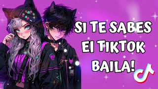 SI TE SABES EL TIKTOK BAILA  2024 💞 [upl. by Ymerej]