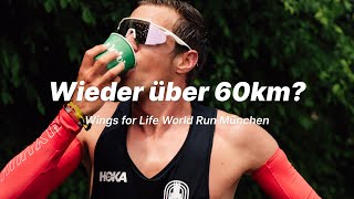 Titelverteidigung beim Wings For Life Run  David Schönherr  Part 3 [upl. by Jamesy]