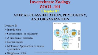 Introduction to Classification Five kingdoms amp Three Domains [upl. by Yeffej355]