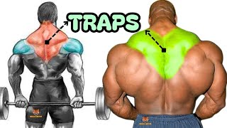 TRAPS WORKOUT 8 best exercises with dumbbells barbell cable only at home or gym [upl. by Nednil131]