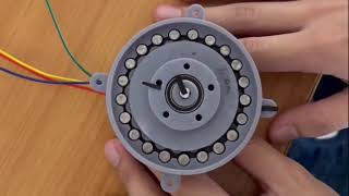 Project2565 Cycloidal Gearbox Nema17 [upl. by Nylirehs]