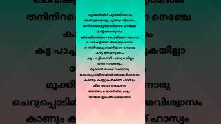 Mathapithakkale song lyrics  Aavesham  Jithu Madhavan  Fahad Fasil  Sushin Shyam  Nazriya Nazim [upl. by Adnara469]