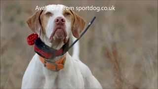 SportDOG TEK2 GPS Tracking amp Training [upl. by Nell]