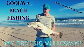 Goolwa Beach Fishing  South Australia My First Big Mulloway [upl. by Nylecaj]