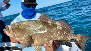 Patch Reef Fishing Easiest Way To Catch Dozens Of Snapper amp Jacks Without Live Bait [upl. by Rednas]