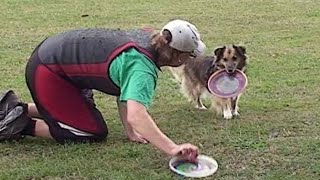 Disc Dog  how to start the training [upl. by Devol]