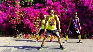 Zumba Choreography  quotMuévelo Loca Boom Boomquot  Pitbull Zin 72 [upl. by Hayikaz]