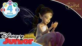 Tinkerbell and the Lost Treasure  Fairy Tales  Disney Junior UK [upl. by Fortna]