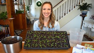 How to start seeds indoors with step by step instructions and demonstrations Northlawn Flower Farm [upl. by Hanimay]