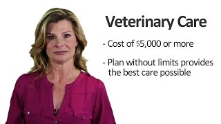 Pet Insurance Benefit Limits [upl. by Sukramed566]