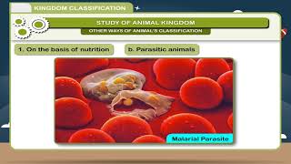 Kingdom Classification class7 [upl. by Oballa]