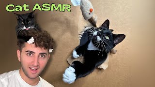 My Cat Tried Making ASMR [upl. by Elspeth442]