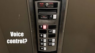 Voice Controlled Elevator [upl. by Chadabe]