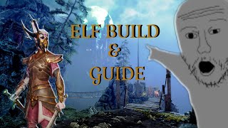 SemiSerious Elf GuideBuilds  Vermintide 2 [upl. by Rihaz583]