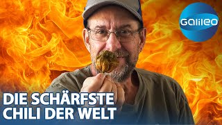 2693000 Scoville Wie kreierte Ed Currie die schärfste Chili der Welt [upl. by Nodnelg]