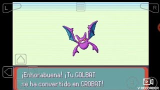 Como Evolucionar un Golbat  Como Conseguir Ah Crobat  Pokemon Esmeralda Explicación [upl. by Ahsiat577]