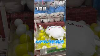 【クレーンゲーム】ハチワレぬいぐるみの取り方！500円3プレイで大勝利！！ゲーセン ufoキャッチャー クレーンゲーム ちいかわ ハチワレ [upl. by Andria355]