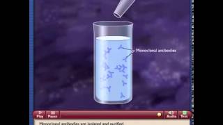 Monoclonal Antibody Production [upl. by Yahsel]