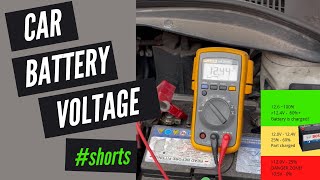 What Voltage Should Car Battery Be [upl. by Yrocaj]