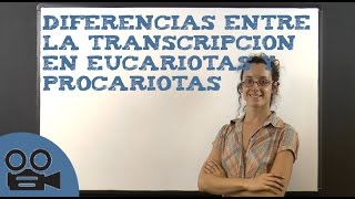 Cómo es el mecanismo de transcripción del ADN [upl. by Beltran]