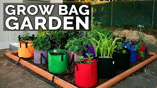 Start a Grow Bag Garden and Water It EASILY [upl. by Aicnom]