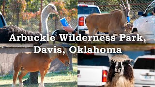 Arbuckle wilderness Park Davis Oklahoma  Safari Park 4k [upl. by Giralda]