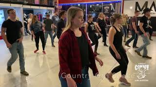 Country Girl Shake  Line Dance Demo  Lesson [upl. by Esinev318]