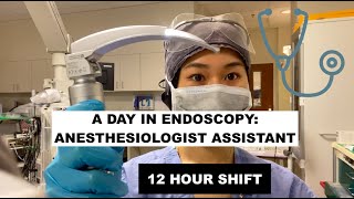 A day as an Anesthesiologist Assistant in EndoscopyGI [upl. by Selegna]