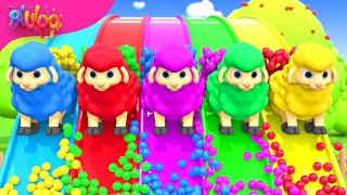 Baa Baa Black Sheep Song  Colorful Sheep  BluLoo Nursery Rhymes amp Kids Songs [upl. by Woehick602]