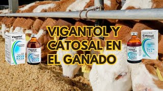 Vitaminas para mejorar la producción en el ganado 🐂🐑🌱🤠 [upl. by Aidole]