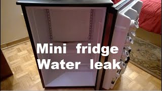 Mini fridge leaks water on the floor  Fix [upl. by Ieso386]