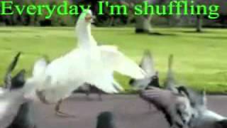 Everyday Im Shuffling  Goose 1 hour [upl. by Einnod157]