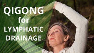 Qigong for Lymphatic Drainage [upl. by Evannia93]