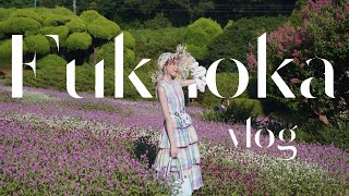 FUKUOKA VLOG  summer of Nokonoshima island 🌻 Fukuoka tower 🗼 City nature 🛤️ [upl. by Bilak]