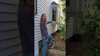 Time to Prune Overgrown Rhododendrons Blocking the Windows [upl. by Feinleib]