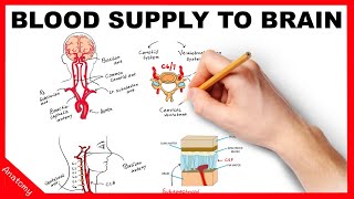 Restoring circulation Treating critical limb ischaemia [upl. by Cousin]