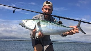 Surf Fishing FALSE ALBACORE TUNA Long Island [upl. by Glory946]