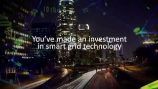 LandisGyr Smart Grid Services [upl. by Eecyak223]