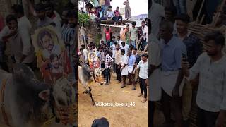 ysjagan byreddysiddarthareddy jallikattu shorts viralviralvideos song music newsong videos [upl. by Lipski]