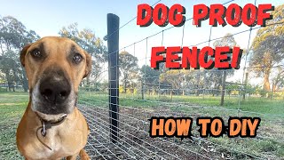 How to Build a Star Picket Dog Fence [upl. by Angell]