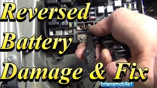 Battery Backwards Damage and Fix [upl. by Charlene]