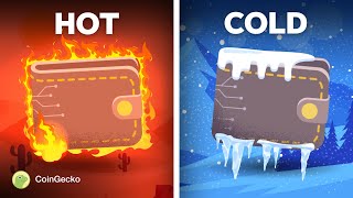 Hot vs Cold Crypto Wallets What’s The DIFFERENCE [upl. by Franciska]