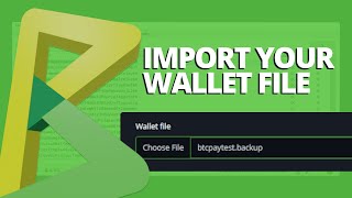 BTCPay Server  How to import Wallet File [upl. by Dnomyaw]