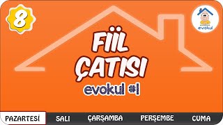 Fiil Çatısı  8 Sınıf evokul Kampı LGS Hazırlık [upl. by Cherice]